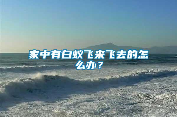 家中有白蟻飛來(lái)飛去的怎么辦？