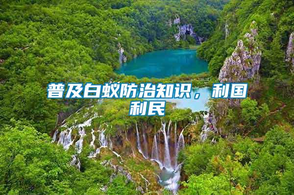 普及白蟻防治知識(shí)，利國利民