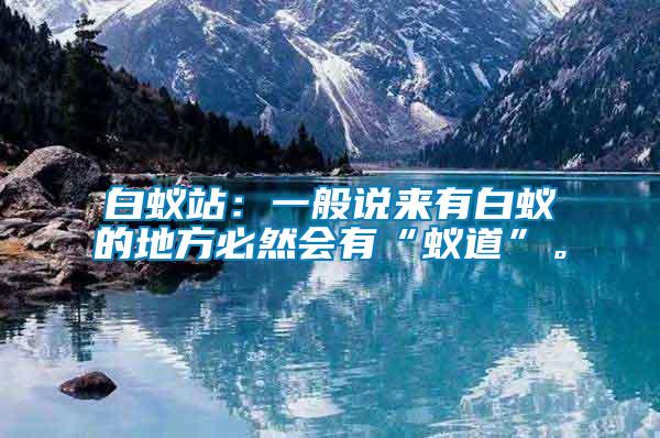 白蟻站：一般說(shuō)來(lái)有白蟻的地方必然會(huì)有“蟻道”。