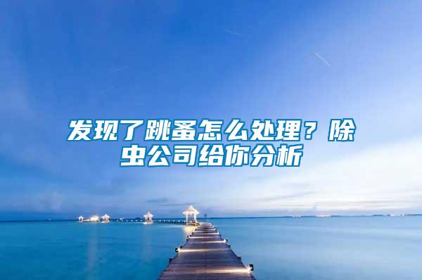 發(fā)現(xiàn)了跳蚤怎么處理？除蟲公司給你分析