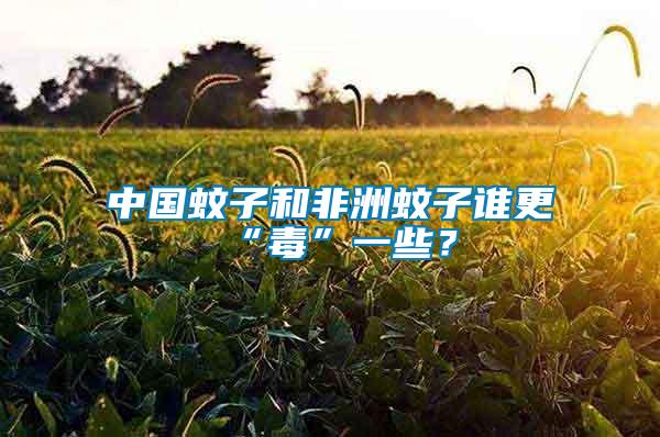 中國蚊子和非洲蚊子誰更“毒”一些？