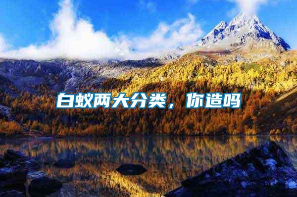 白蟻兩大分類，你造嗎