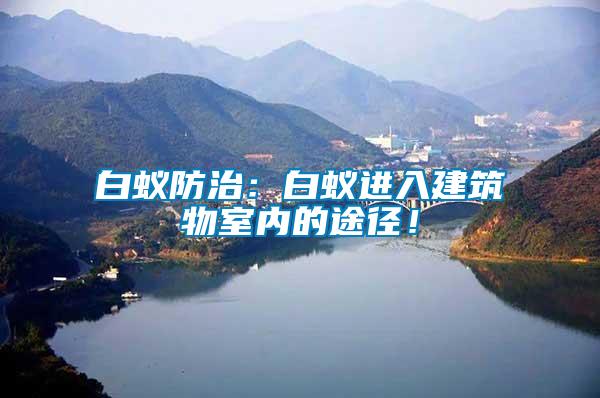 白蟻防治：白蟻進(jìn)入建筑物室內(nèi)的途徑！
