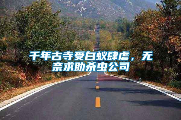 千年古寺受白蟻肆虐，無奈求助殺蟲公司