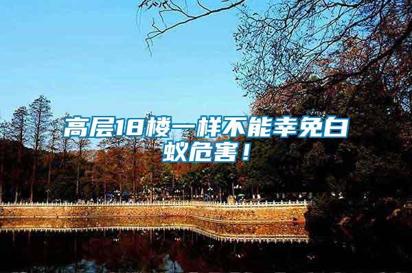 高層18樓一樣不能幸免白蟻危害！