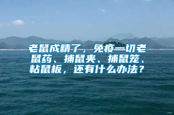 老鼠成精了，免疫一切老鼠藥、捕鼠夾、捕鼠籠、粘鼠板，還有什么辦法？