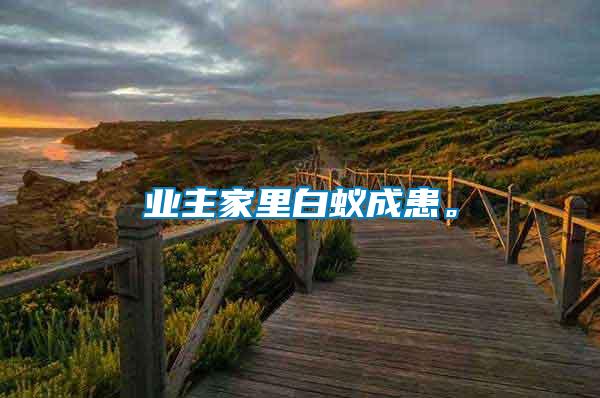 業(yè)主家里白蟻成患。