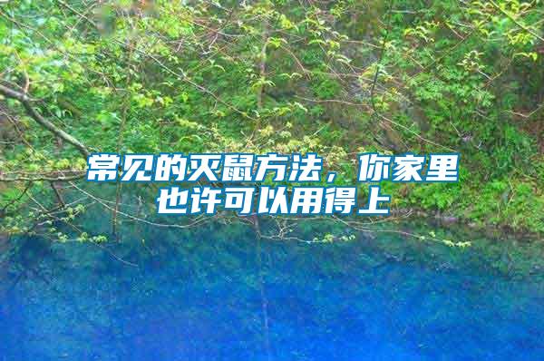 常見(jiàn)的滅鼠方法，你家里也許可以用得上