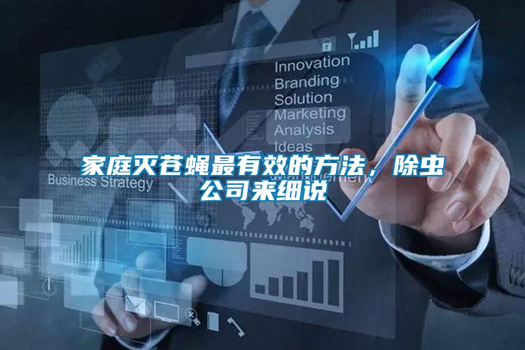 家庭滅蒼蠅最有效的方法，除蟲公司來細說