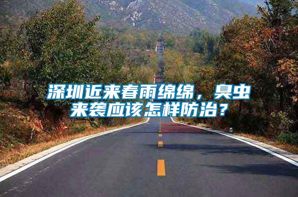 深圳近來春雨綿綿，臭蟲來襲應(yīng)該怎樣防治？