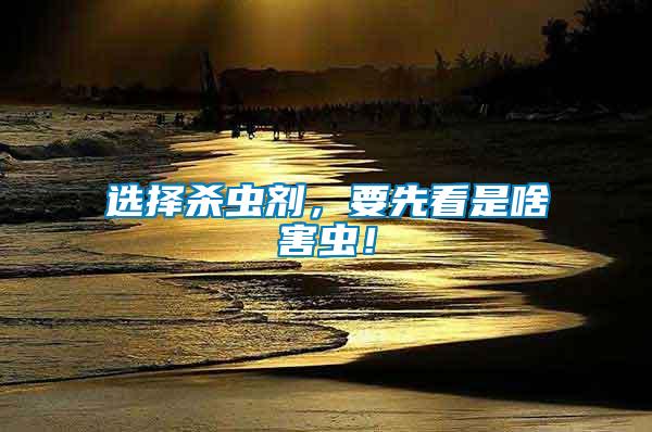 選擇殺蟲劑，要先看是啥害蟲！