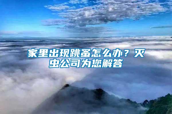 家里出現(xiàn)跳蚤怎么辦？滅蟲公司為您解答