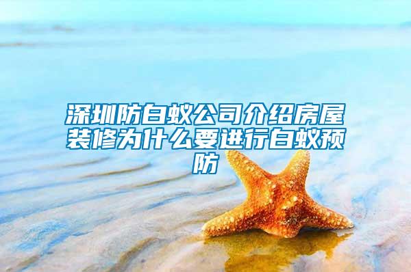 深圳防白蟻公司介紹房屋裝修為什么要進行白蟻預(yù)防
