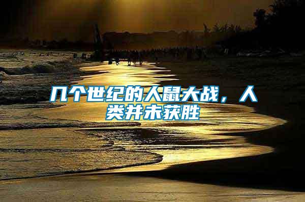 幾個世紀的人鼠大戰(zhàn)，人類并未獲勝