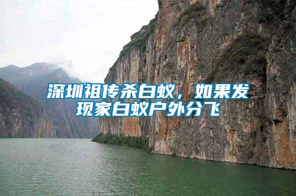 深圳祖?zhèn)鳉紫?，如果發(fā)現(xiàn)家白蟻戶外分飛