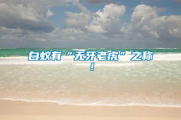 白蟻有“無(wú)牙老虎”之稱！