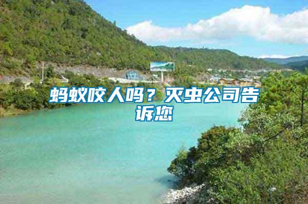螞蟻咬人嗎？滅蟲公司告訴您