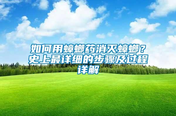 如何用蟑螂藥消滅蟑螂？史上最詳細的步驟及過程詳解