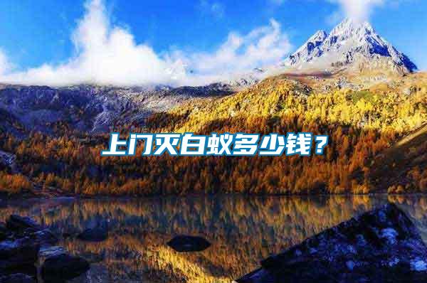 上門滅白蟻多少錢？
