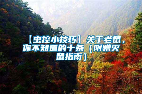 【蟲(chóng)控小技巧】關(guān)于老鼠，你不知道的十條（附贈(zèng)滅鼠指南）