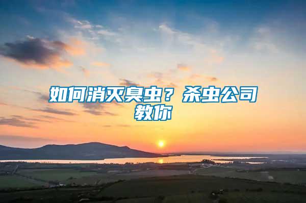 如何消滅臭蟲(chóng)？殺蟲(chóng)公司教你