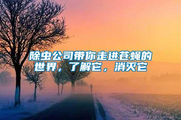 除蟲公司帶你走進(jìn)蒼蠅的世界，了解它，消滅它