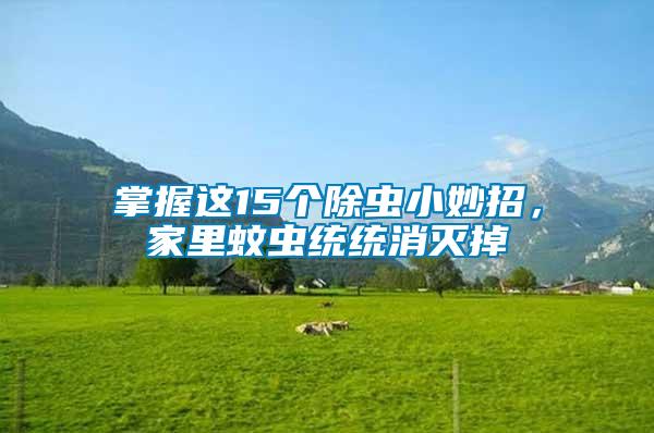 掌握這15個(gè)除蟲小妙招，家里蚊蟲統(tǒng)統(tǒng)消滅掉