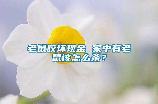 老鼠咬壞現(xiàn)金 家中有老鼠該怎么殺？