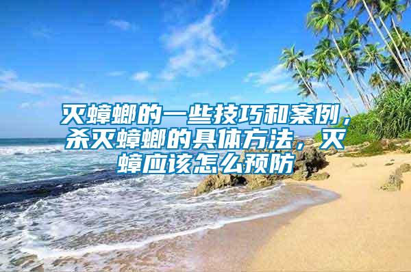 滅蟑螂的一些技巧和案例，殺滅蟑螂的具體方法，滅蟑應該怎么預防