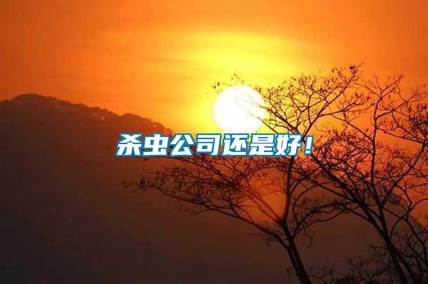 殺蟲公司還是好！
