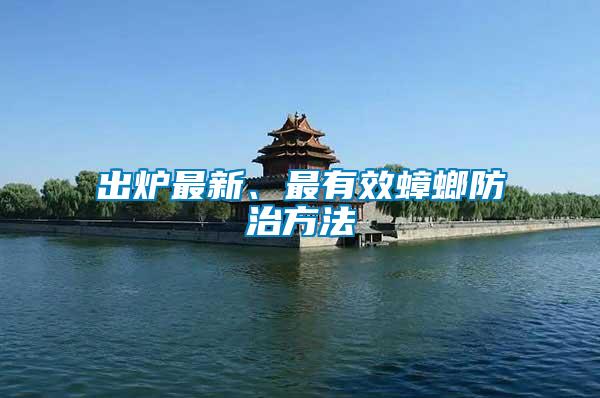出爐最新、最有效蟑螂防治方法