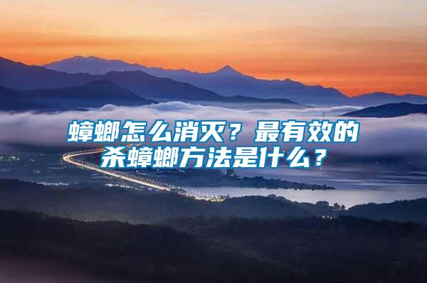 蟑螂怎么消滅？最有效的殺蟑螂方法是什么？