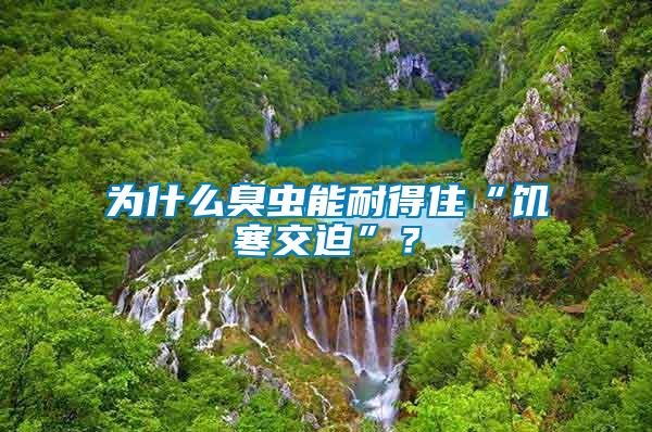 為什么臭蟲(chóng)能耐得住“饑寒交迫”？