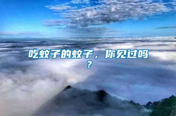 吃蚊子的蚊子，你見過嗎？