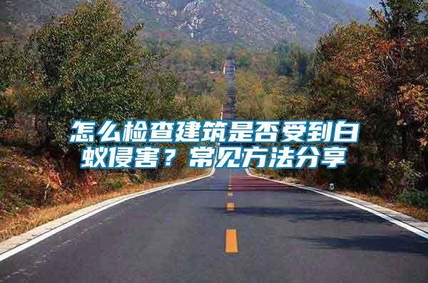 怎么檢查建筑是否受到白蟻侵害？常見方法分享
