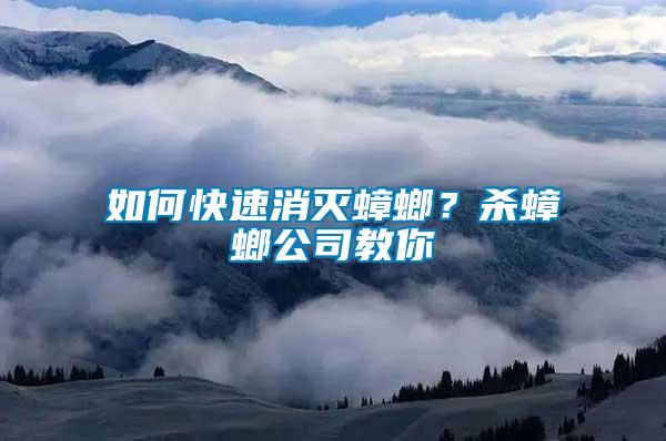如何快速消滅蟑螂？殺蟑螂公司教你