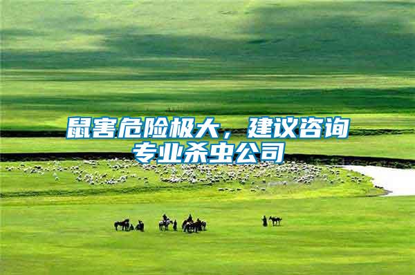 鼠害危險(xiǎn)極大，建議咨詢(xún)專(zhuān)業(yè)殺蟲(chóng)公司