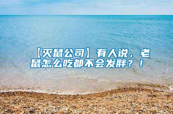 【滅鼠公司】有人說，老鼠怎么吃都不會發(fā)胖？！