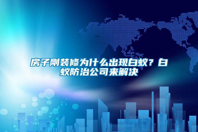 房子剛裝修為什么出現(xiàn)白蟻？白蟻防治公司來(lái)解決