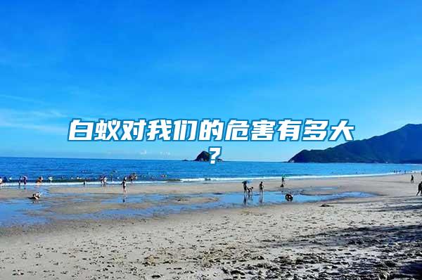 白蟻對(duì)我們的危害有多大？