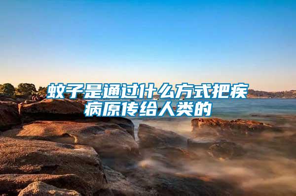 蚊子是通過(guò)什么方式把疾病原傳給人類(lèi)的