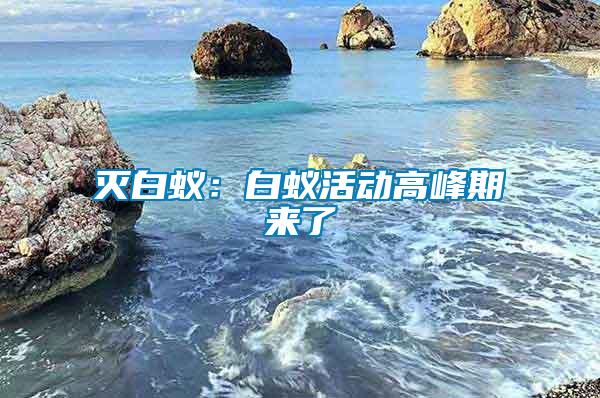 滅白蟻：白蟻活動(dòng)高峰期來了