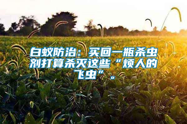 白蟻防治：買回一瓶殺蟲劑打算殺滅這些“煩人的飛蟲”。