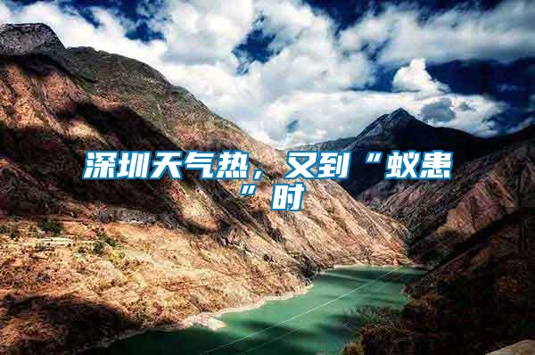 深圳天氣熱，又到“蟻患”時(shí)