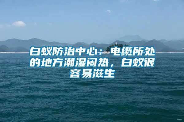 白蟻防治中心：電纜所處的地方潮濕悶熱，白蟻很容易滋生
