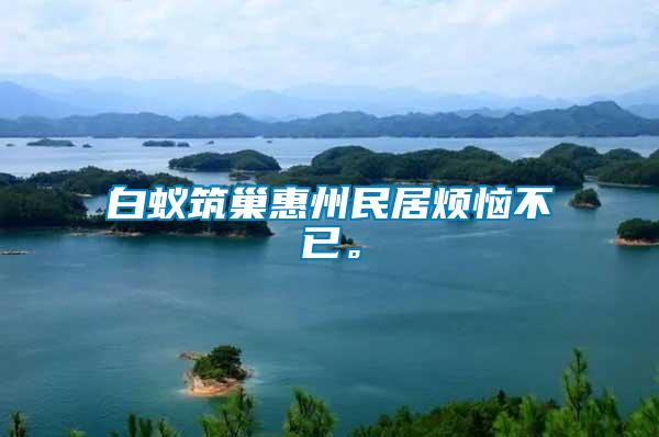 白蟻筑巢惠州民居煩惱不已。
