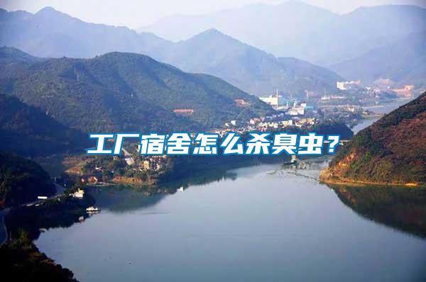 工廠宿舍怎么殺臭蟲？