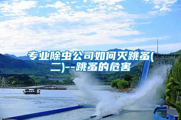 專(zhuān)業(yè)除蟲(chóng)公司如何滅跳蚤(二)--跳蚤的危害