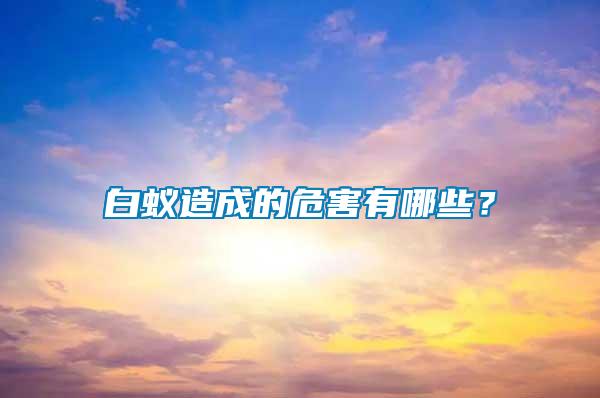 白蟻造成的危害有哪些？
