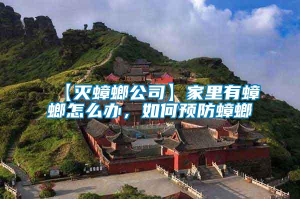 【滅蟑螂公司】家里有蟑螂怎么辦，如何預(yù)防蟑螂